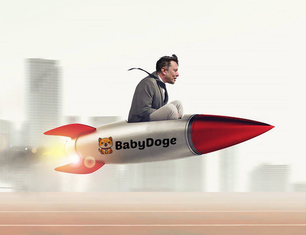 (1) Baby Doge Coin on Twitter: 