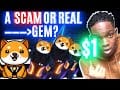 YouTube: BABY DOGE COIN HOLDERS GET READY ! ELON MUSK PROMOTES BABY DOGE COIN ! HUGE INCREASE COMING !