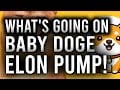 WHAT’S GOING ON WITH BABY DOGE?! ELON JUST PUMPED THIS CRYPTO LIKE CRAZY WITH ONE TWEET!!!!!!