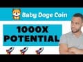 BABY DOGE COIN 1000X POTENTIAL