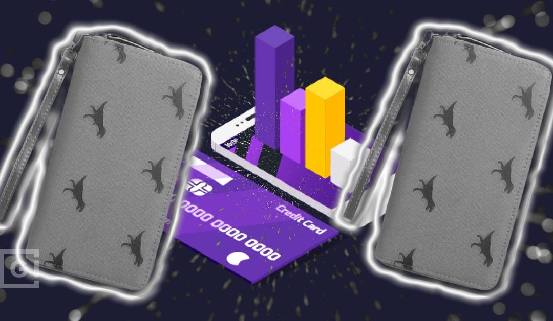 Cash, Cards, and Crypto: The Best Wallet Options – GokhshteinMedia