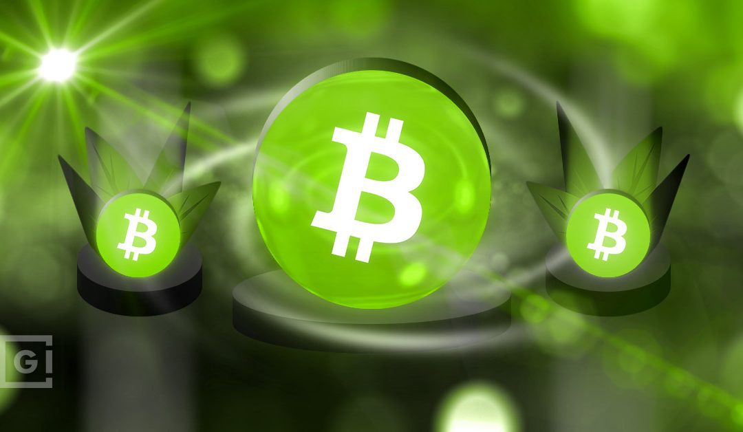Is The Future of Bitcoin Green? – GokhshteinMedia
