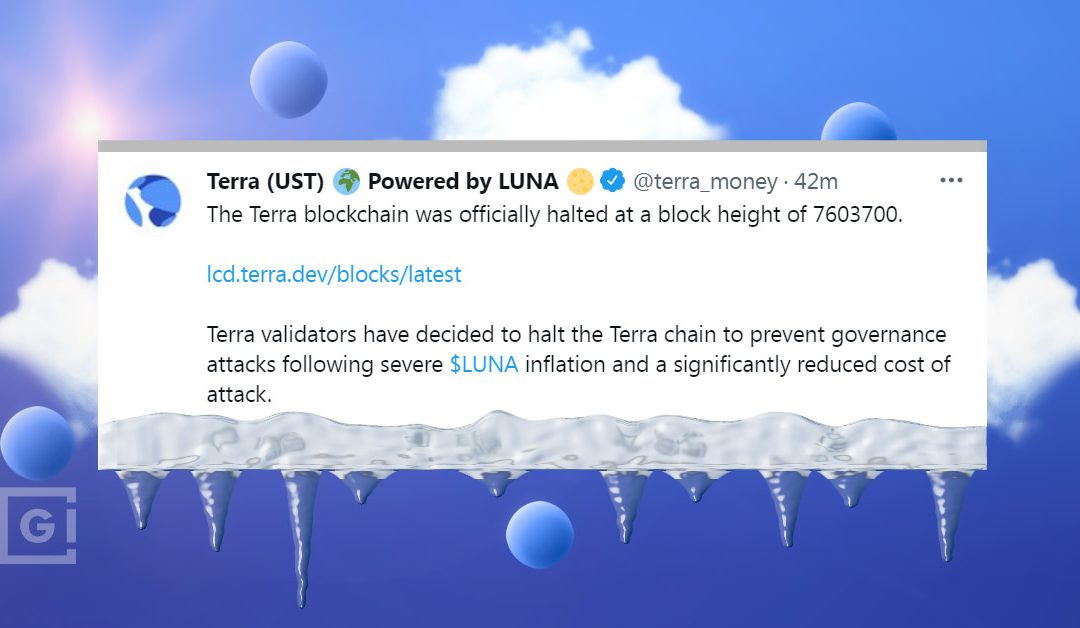 Terra Blockchain Hits Pause After Tumultuous Week Of Losses – GokhshteinMedia