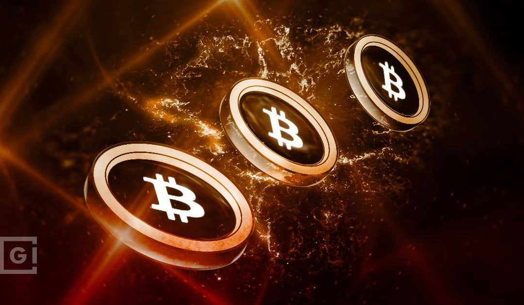 Are Bitcoin Fundamentals Enough to Save It? – GokhshteinMedia